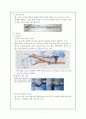 수영영법 7페이지