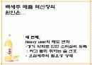[마케팅]판매촉진을 위한 백세주 커뮤니케이션전략 (A+리포트) 6페이지