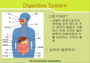 소화기계 질환(digest system disease)에 관한 팀프로젝트 2페이지