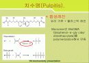소화기계 질환(digest system disease)에 관한 팀프로젝트 5페이지