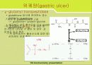 소화기계 질환(digest system disease)에 관한 팀프로젝트 33페이지