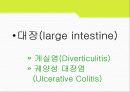 소화기계 질환(digest system disease)에 관한 팀프로젝트 35페이지