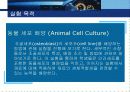 동물세포배양 세미나 PPT 3페이지