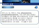 동물세포배양 세미나 PPT 39페이지