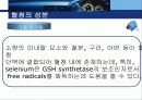 동물세포배양 세미나 PPT 40페이지