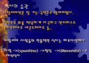 이탈리아 음식문화 7페이지