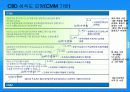 ITIL/ITSM과 CMM 통합 적용을 통한 IT관리의 최적화 방안 15페이지