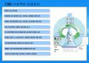 ITIL/ITSM과 CMM 통합 적용을 통한 IT관리의 최적화 방안 17페이지