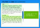 ITIL/ITSM과 CMM 통합 적용을 통한 IT관리의 최적화 방안 23페이지