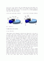[반도체공학]휴대용 디지털기기용 낸드플래시메모리 시장조사 (A+리포트) 3페이지