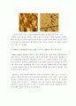 SPM의 구조와 원리 35페이지