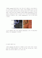 SPM의 구조와 원리 48페이지