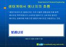생태계와 열역학 13페이지