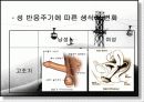 성심리학 발표자료 20페이지
