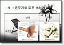 성심리학 발표자료 21페이지