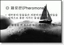 성심리학 발표자료 28페이지