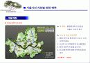 향후 서울시의 변화에 따른 환경영향평가 8페이지