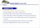 향후 서울시의 변화에 따른 환경영향평가 34페이지