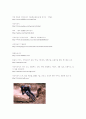 산악자전거 10페이지