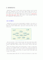 [경영학원론]경영이론의 발전과정 15페이지