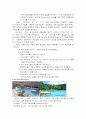 내황산염 시멘트 9페이지