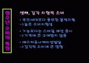 청소년 소비의 문제점과 개선방안 9페이지