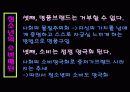 청소년 소비의 문제점과 개선방안 12페이지