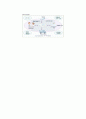 Supply Chain Management(공급망 관리) 5페이지