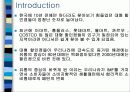 이마트의 이비즈니스 활용사례 3페이지