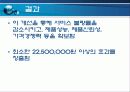 식스시그마 사례분석 17페이지