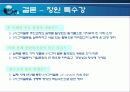 식스시그마 사례분석 33페이지