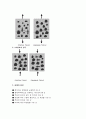 골재 (aggregates)  3페이지
