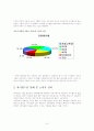 [경영]싸이월드 기업분석 및 마케팅 8페이지