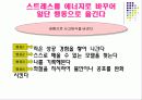 스트레스 관리 7페이지