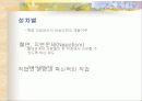 [인적자원개발론] 다양성과 평등고용에 대해서 19페이지