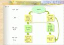 [인적자원개발론] 다양성과 평등고용에 대해서 25페이지