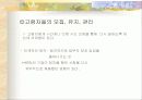 [인적자원개발론] 다양성과 평등고용에 대해서 29페이지