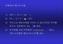 영양학개론 17페이지