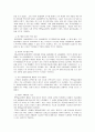 이중 시장 전략에 관하여 5페이지