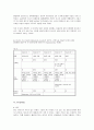 이중 시장 전략에 관하여 10페이지