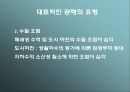 환경 공해에 관한 보고서 3페이지