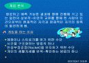 상호교류분서이론 발표 29페이지