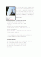 의사결정지원시스템(DSS)의 사례분석 12페이지