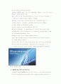 의사결정지원시스템(DSS)의 사례분석 18페이지