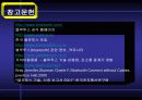 BlueTooth(블루투스)에 대하여 32페이지