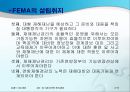 911과 미국의 위기관리 7페이지