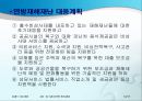 911과 미국의 위기관리 13페이지