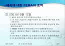 911과 미국의 위기관리 23페이지