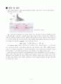 등전위선과 전기장(결과) 5페이지