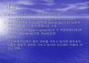독일의 지방자치제도 3페이지